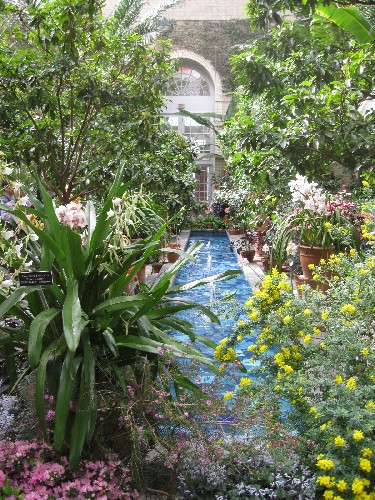 Botanic Garden inside