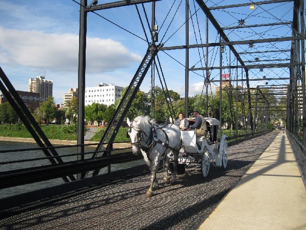 Horse and carriage, Walnut Street bridge