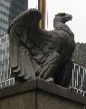 Penn Station eagle