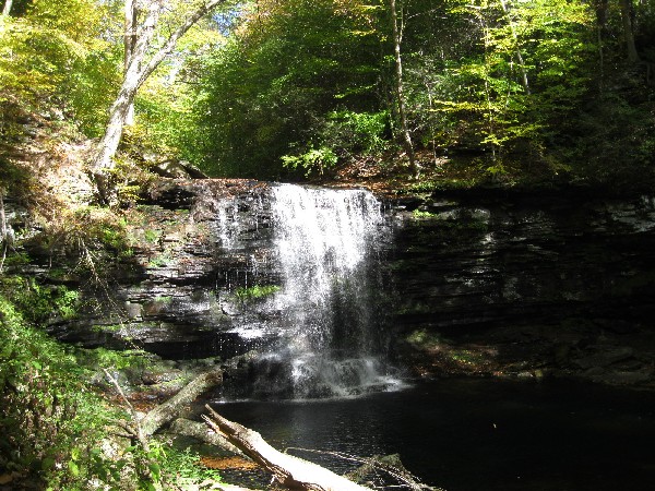 A waterfall and a log that looks like a crocodile