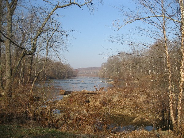 Looking upstream from trailside