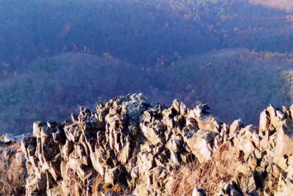 Blue Ridge Mountains, looking down