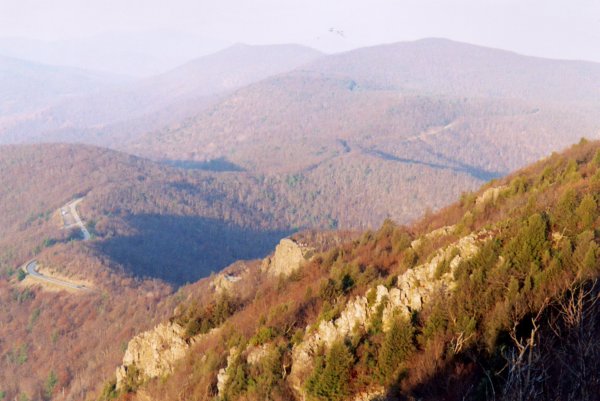 Blue Ridge mountainside